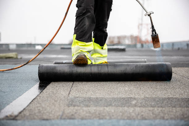 Best Asphalt Shingle Roofing  in Palisades Park, NJ